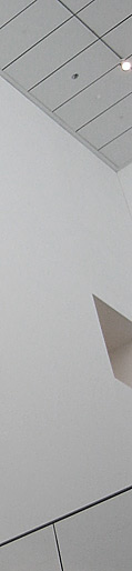 The Museum of Modern Art